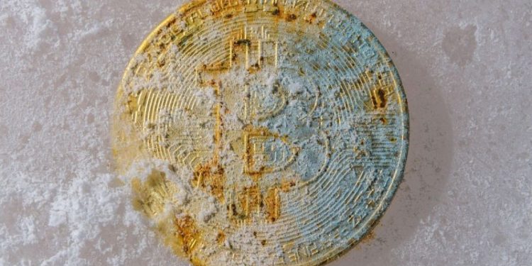 Crypto Market Update: Bitcoin Price Slide Continues Despite Rising Open Interest