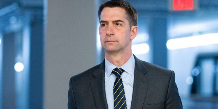 Tom Cotton demands FDA probe into illegal Chinese ingredients in US weight loss drugs